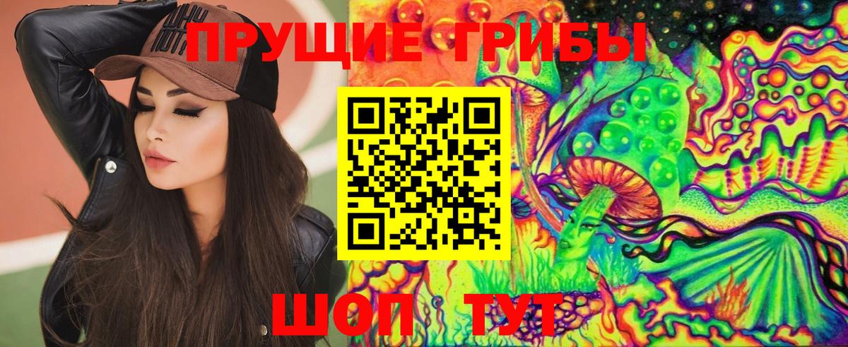 Псилоцибиновые грибы Cubensis  Вход с VPN  Печора 